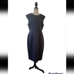 Tahari Dress size 12.